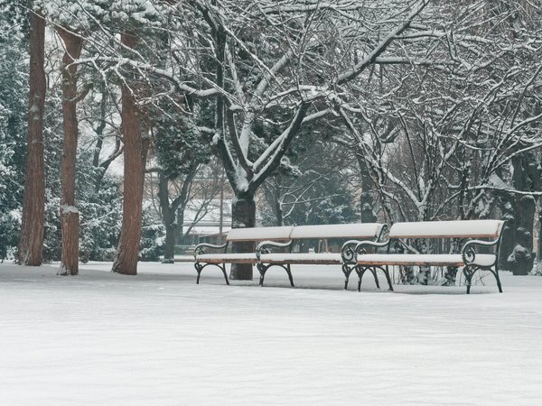 Explorez le Pouvoir de la Méditation pour Atténuer l'Épuisement Mental des Professionnels : Une Étude Approfondie