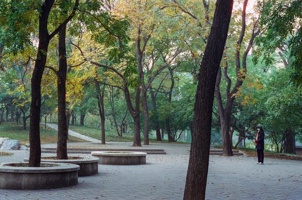 Découvrez le meilleur tire-lait de 2025 : guide comparatif