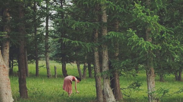 Découverte du bain de forêt : avantages d'une séance guidée